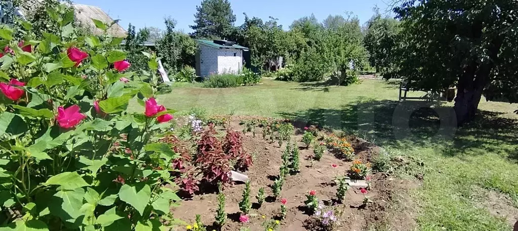 Дача 30 м на участке 6 сот. - Фото 0