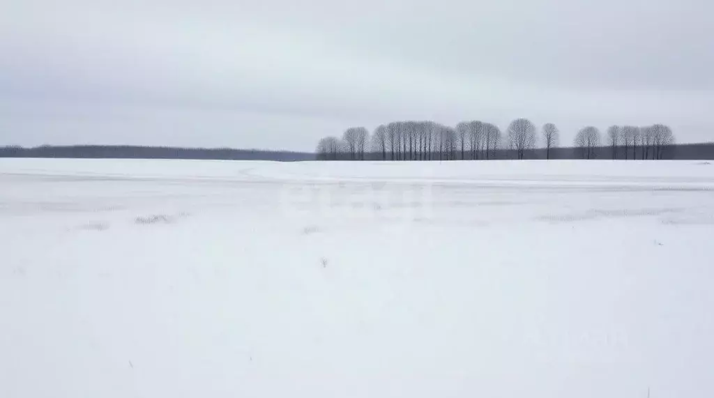 Участок в Тульская область, Новомосковск Сокольники мкр,  (13.5 сот.) - Фото 2