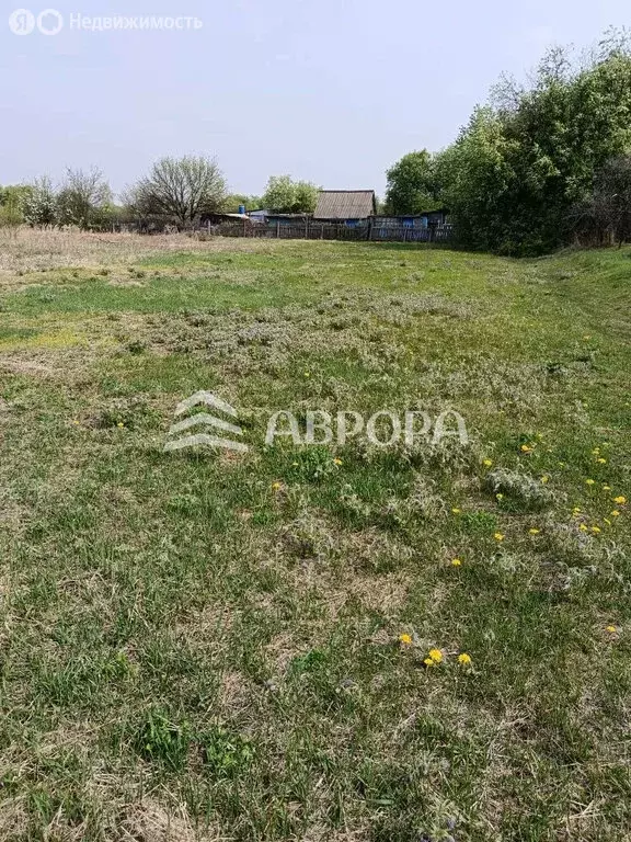 Участок в Амурская область, Ивановский муниципальный округ, село ... - Фото 2