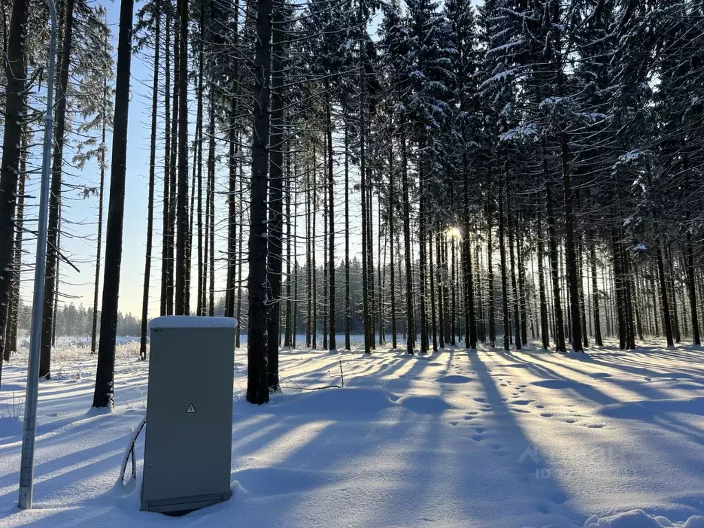 Участок в Московская область, Химки Сходня Форест Парк кп,  (7.5 сот.) - Фото 1