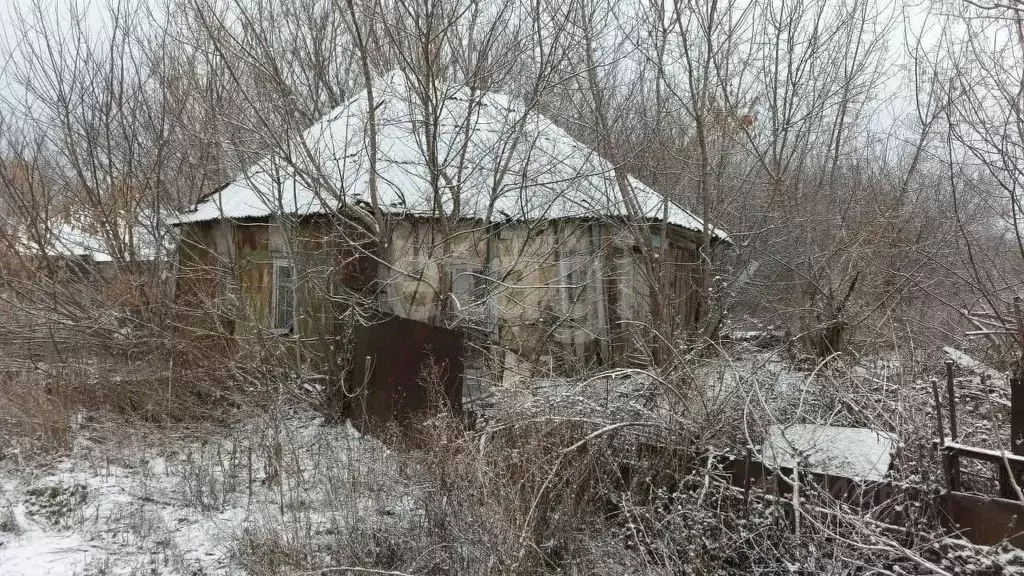 Участок в Белгородская область, Корочанский муниципальный округ, с. ... - Фото 1