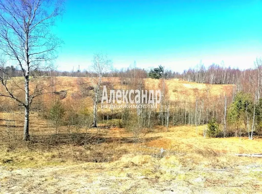 Участок в Ленинградская область, Приозерский район, Сосновское с/пос, ... - Фото 1