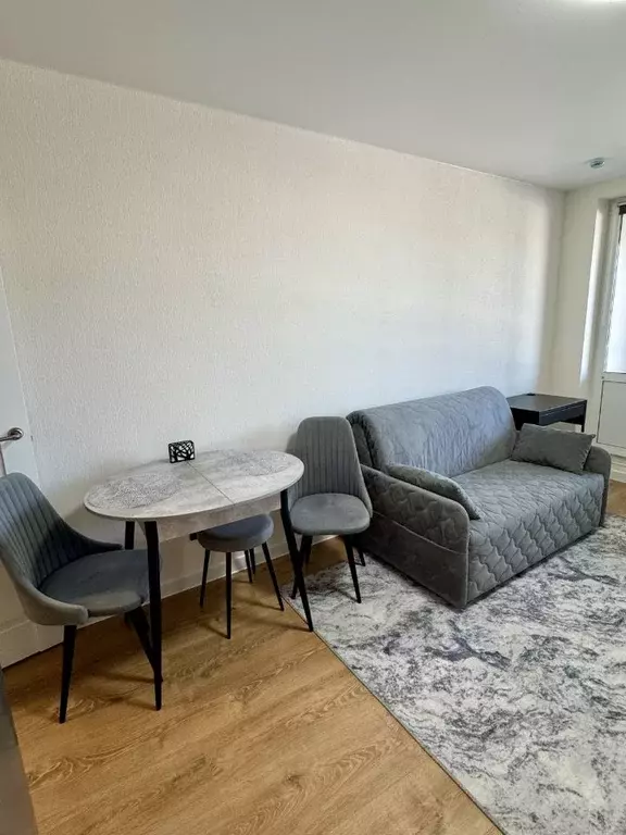 Студия Ленинградская область, Мурино Всеволожский район, просп. ... - Фото 2