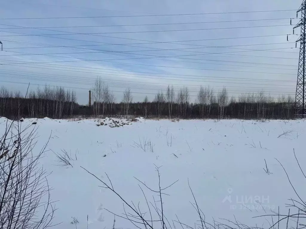 Участок в Челябинская область, Челябинск ул. Профессора Благих (6.6 ... - Фото 2