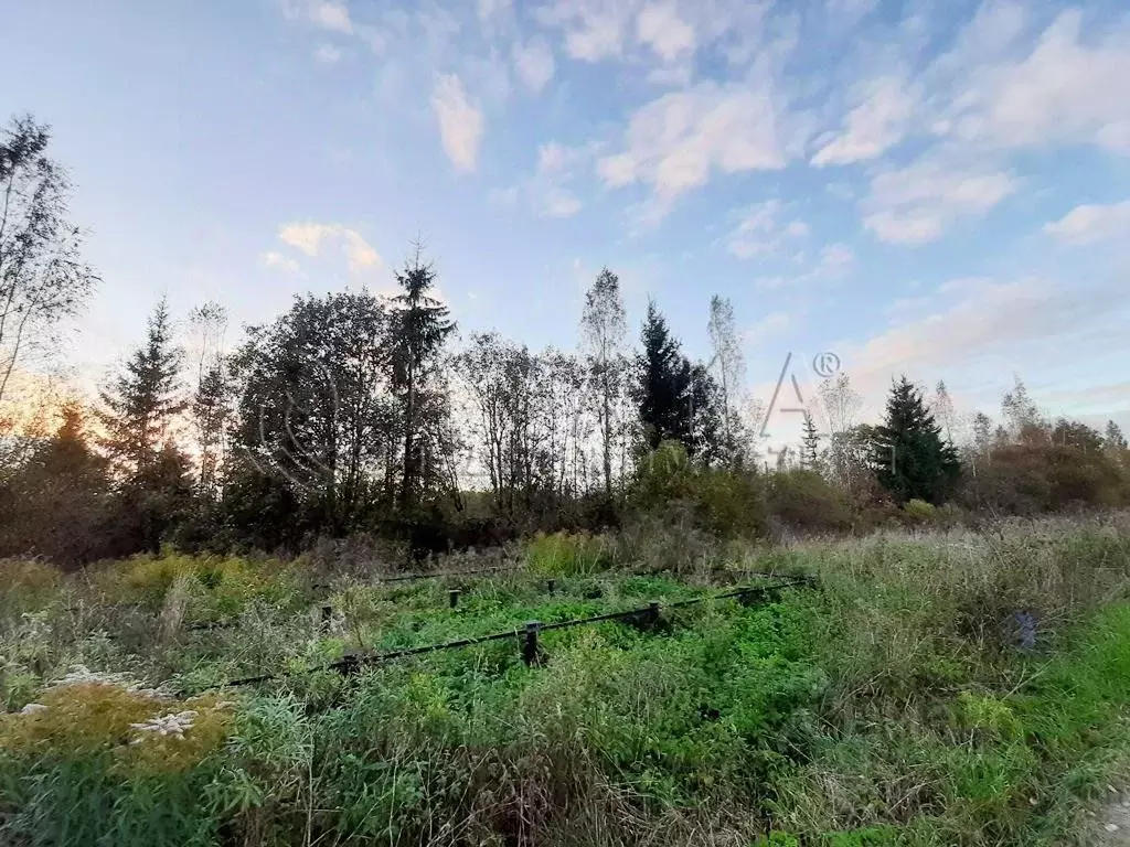 Участок в Ленинградская область, Кингисеппский район, Опольевское ... - Фото 1