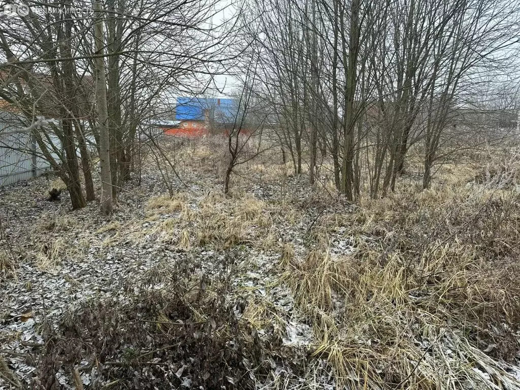 Участок в Калужская область, сельское поселение Совхоз Боровский, ... - Фото 2