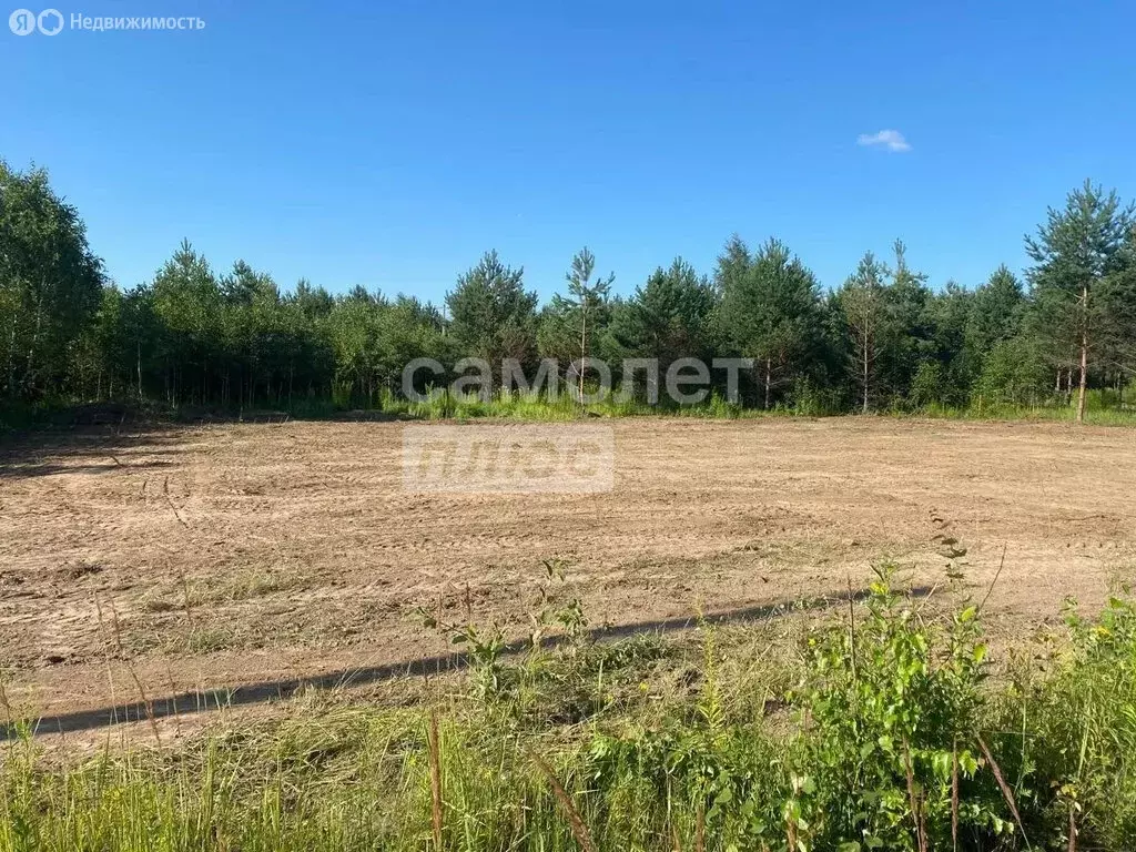 Участок в Московская область, городской округ Ступино, село Ивановское ... - Фото 1