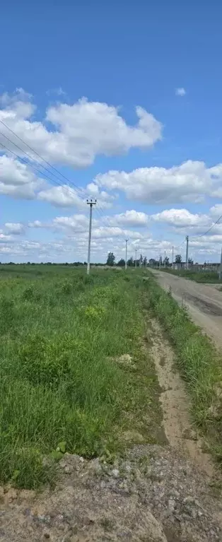 Участок в Московская область, Раменский муниципальный округ, Степаново ... - Фото 1