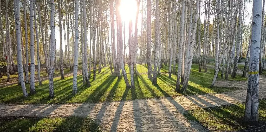 Участок 5,1 сот. (СНТ, ДНП) - Фото 0