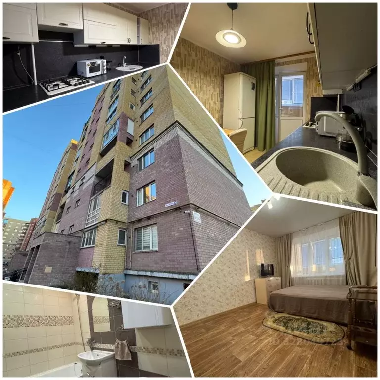 1-к кв. Псковская область, Псков ул. Труда, 56 (34.4 м) - Фото 1