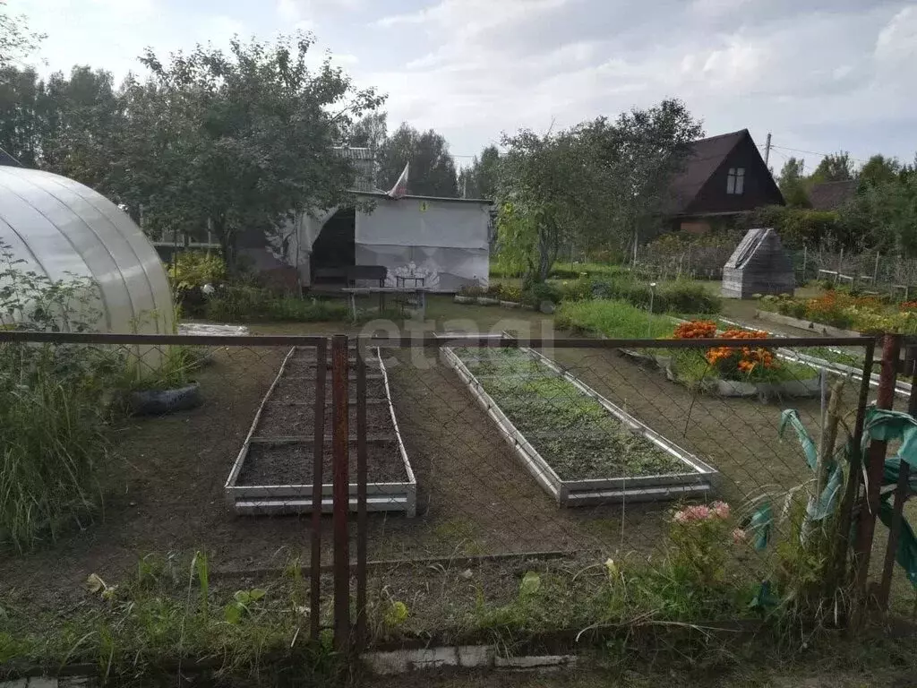 Дом в Ярославский муниципальный округ, СНТ Холод (24 м) - Фото 2