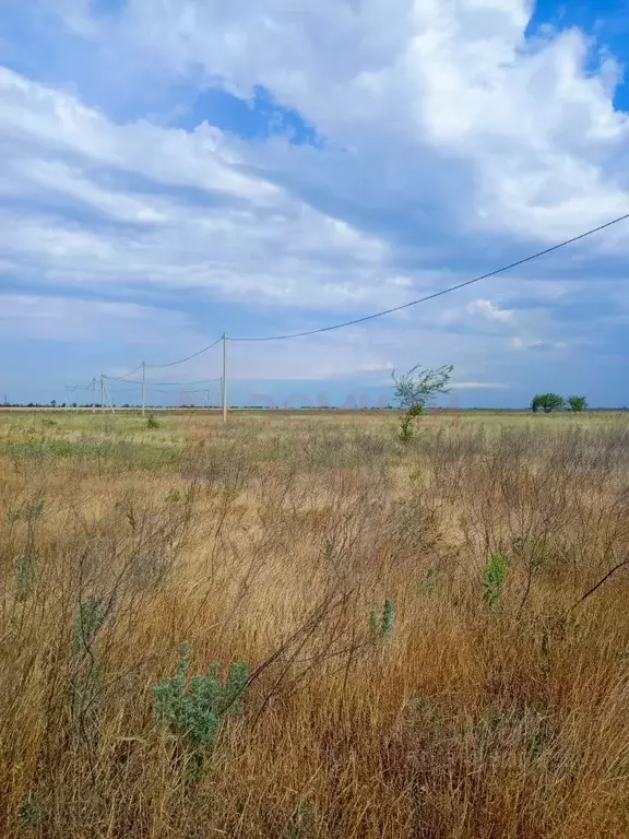 Участок в Ростовская область, Новочеркасск ул. Овечкина, 20 (6.0 сот.) - Фото 0