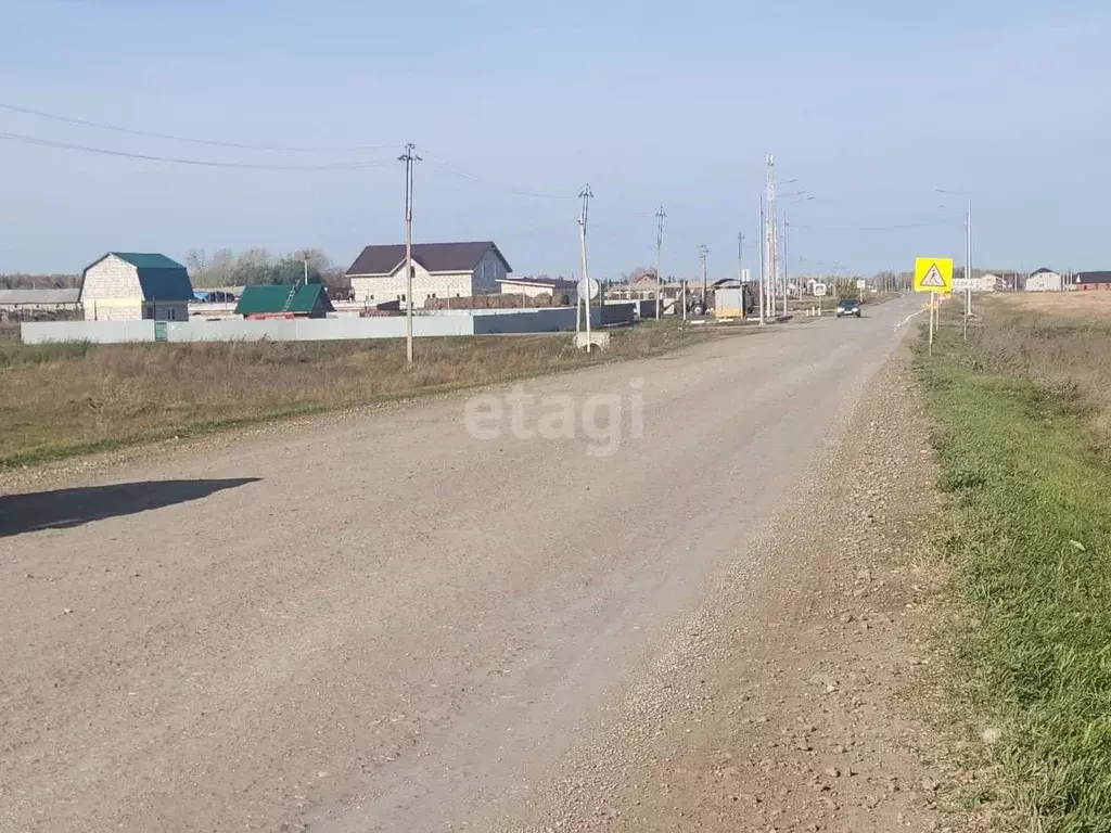 Участок в Новосибирская область, Новосибирский район, Толмачевский ... - Фото 0