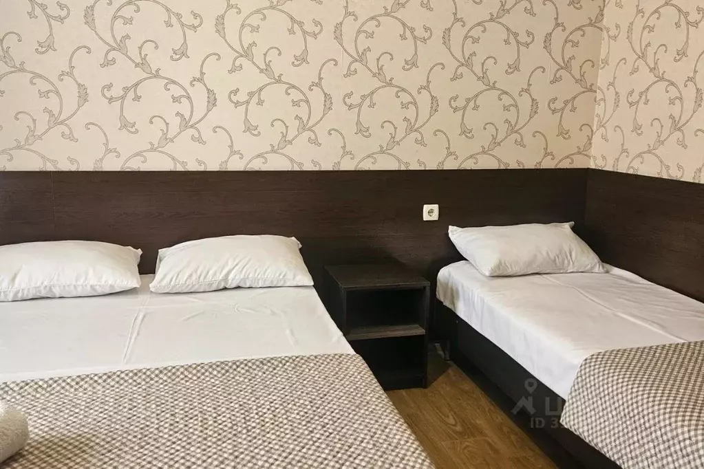 Комната Краснодарский край, Анапа муниципальный округ, с. Витязево ул. ... - Фото 0