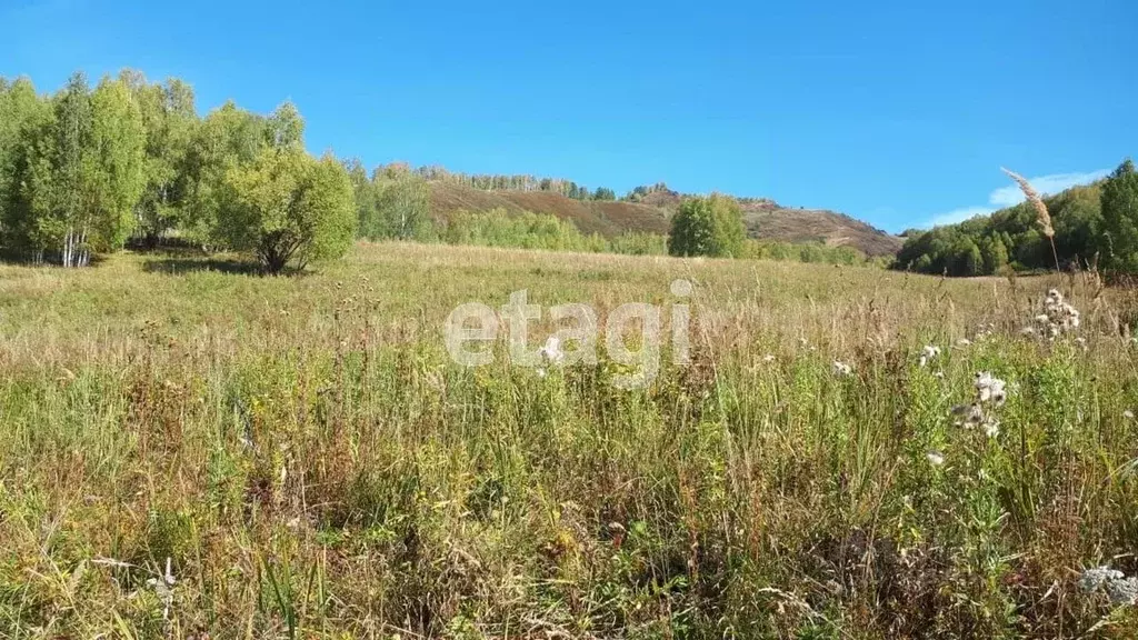 Участок в Алтайский край, Смоленский район, с. Сычевка  (1140.0 сот.) - Фото 1