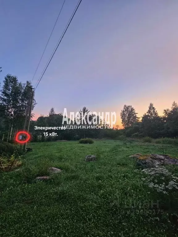 Участок в Ленинградская область, Выборгский район, Каменногорское ... - Фото 1