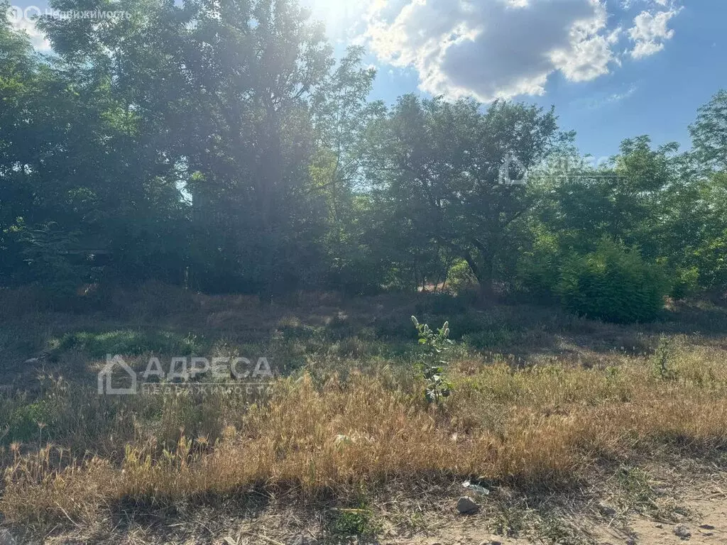 Дом в село Александровка, Октябрьская улица, 67 (50 м) - Фото 2