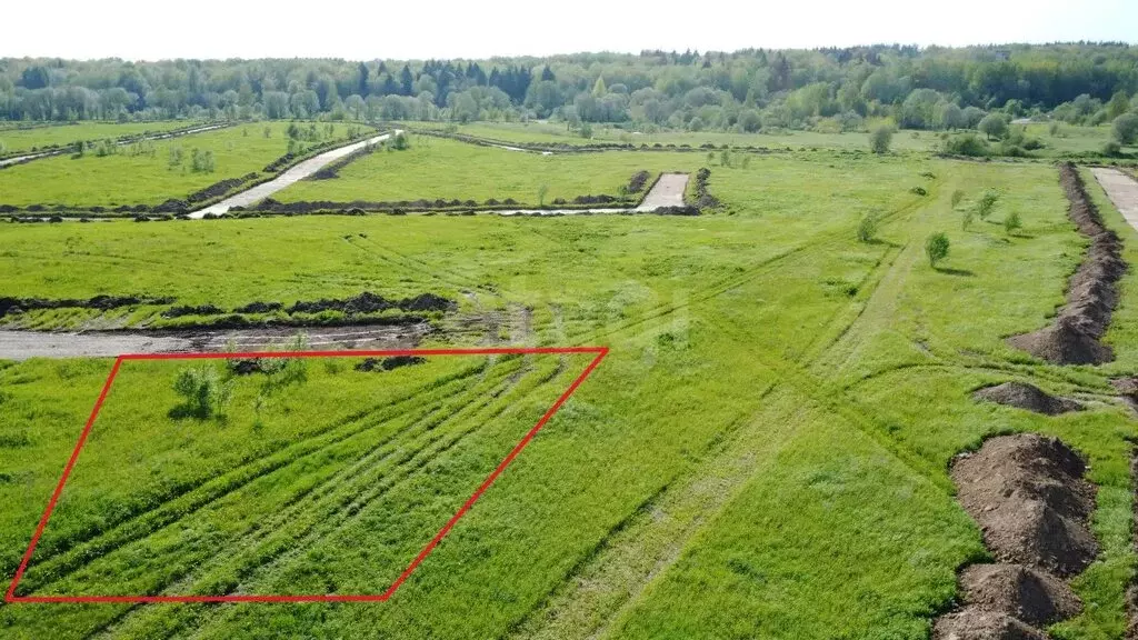 Участок в Ломоносовский район, Русско-Высоцкое сельское поселение, ... - Фото 1