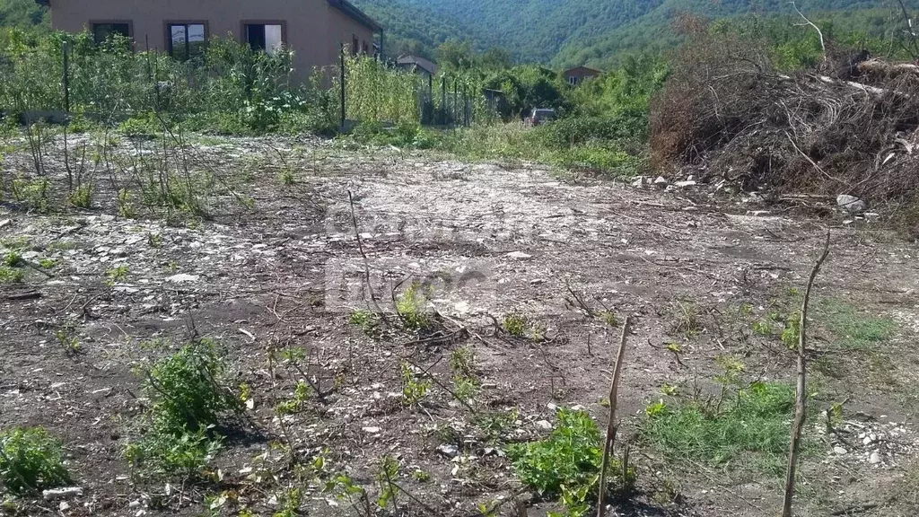 Участок в Краснодарский край, Туапсинский муниципальный округ, с. ... - Фото 1