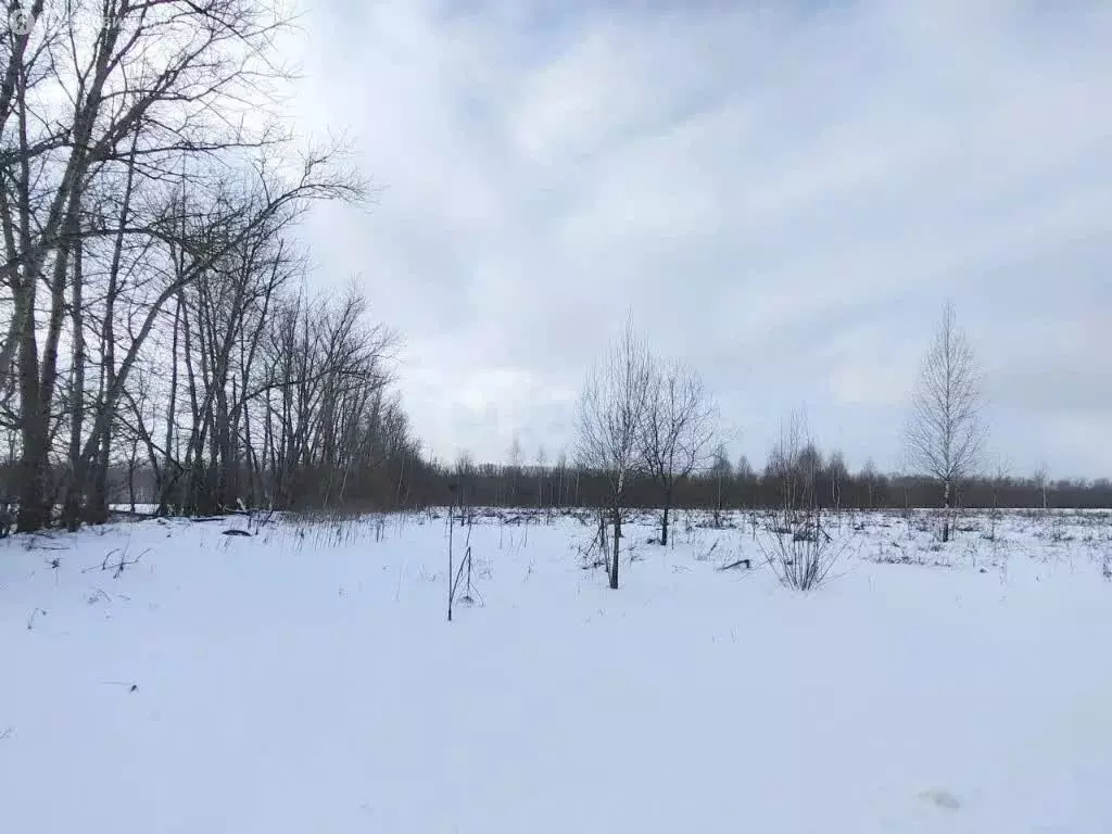 Участок в Тульская область, муниципальное образование Тула, село ... - Фото 0