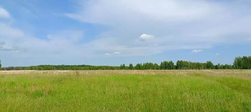 Участок в Новосибирская область, Искитимский район, Быстровский ... - Фото 1