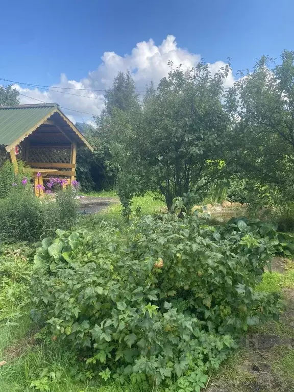 Дом в Ленинградская область, Всеволожский район, Колтушское городское ... - Фото 1