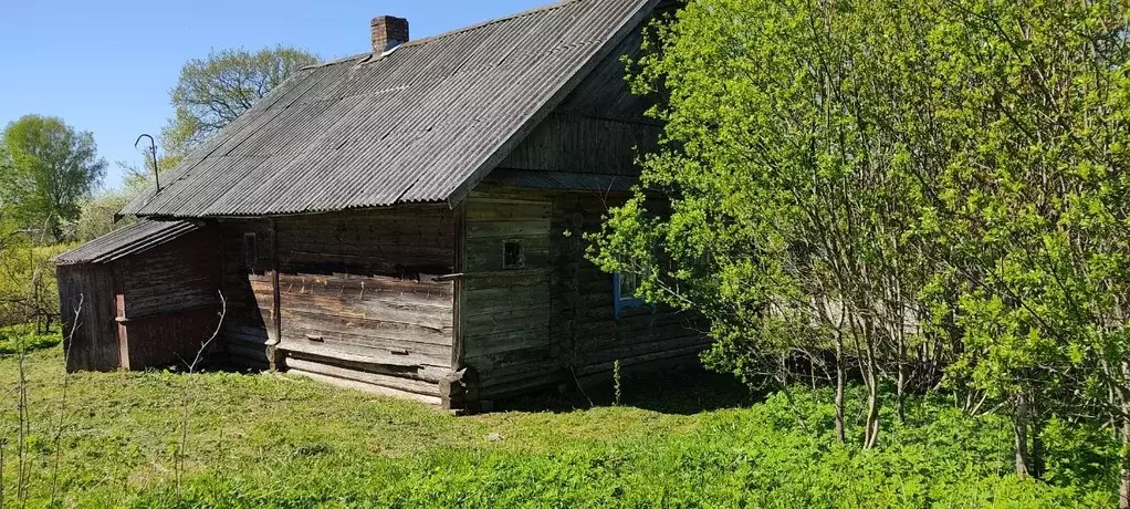 Участок в Псковская область, Пустошкинский район, Пригородная волость, ... - Фото 1