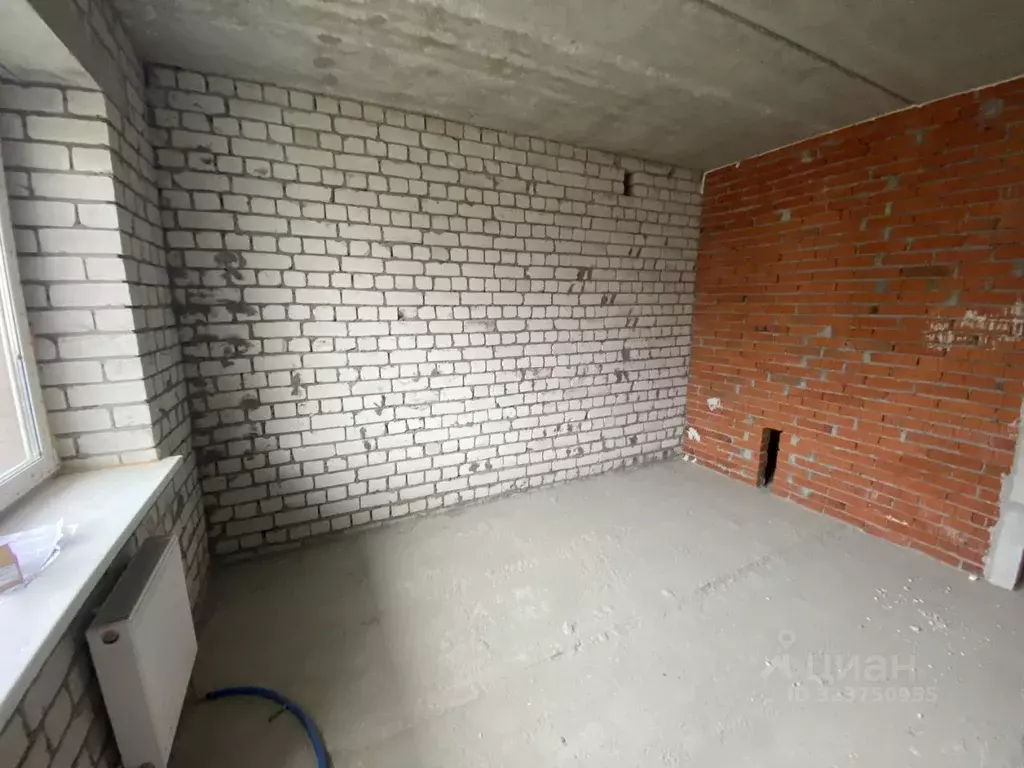 Студия Воронежская область, с. Новая Усмань ул. Полевая, 22А/4 (23.3 ... - Фото 2