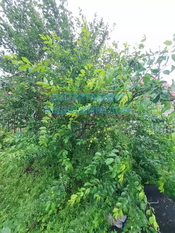 Дом в Ульяновская область, Новомалыклинское с/пос, с. Новая Малыкла ... - Фото 2