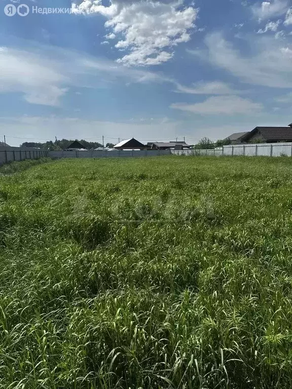 Участок в Тюменский муниципальный округ, деревня Криводанова, улица ... - Фото 0