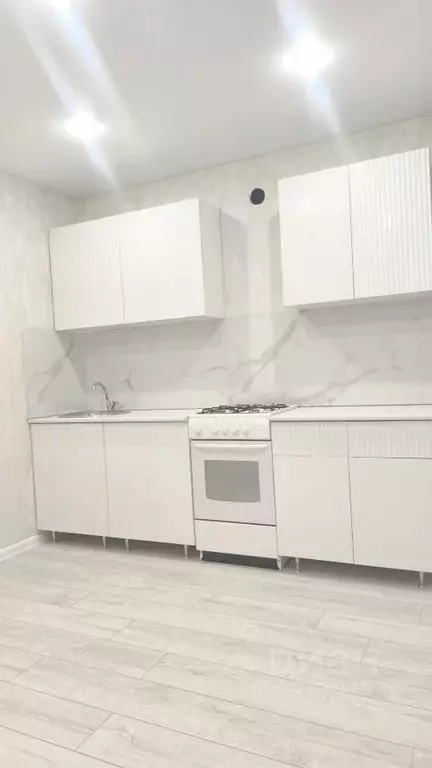 1-к кв. Пензенская область, Пензенский район, Засечный сельсовет, с. ... - Фото 2