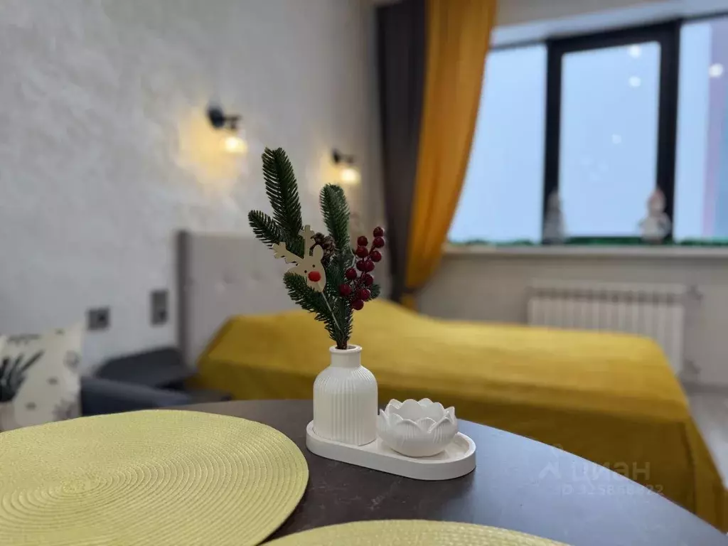 Студия Москва Шмитовский проезд, 39к6 (30.0 м) - Фото 2