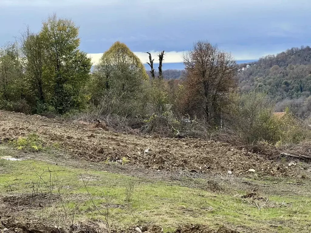 Участок в Краснодарский край, Сочи городской округ, с. Липники, ... - Фото 2