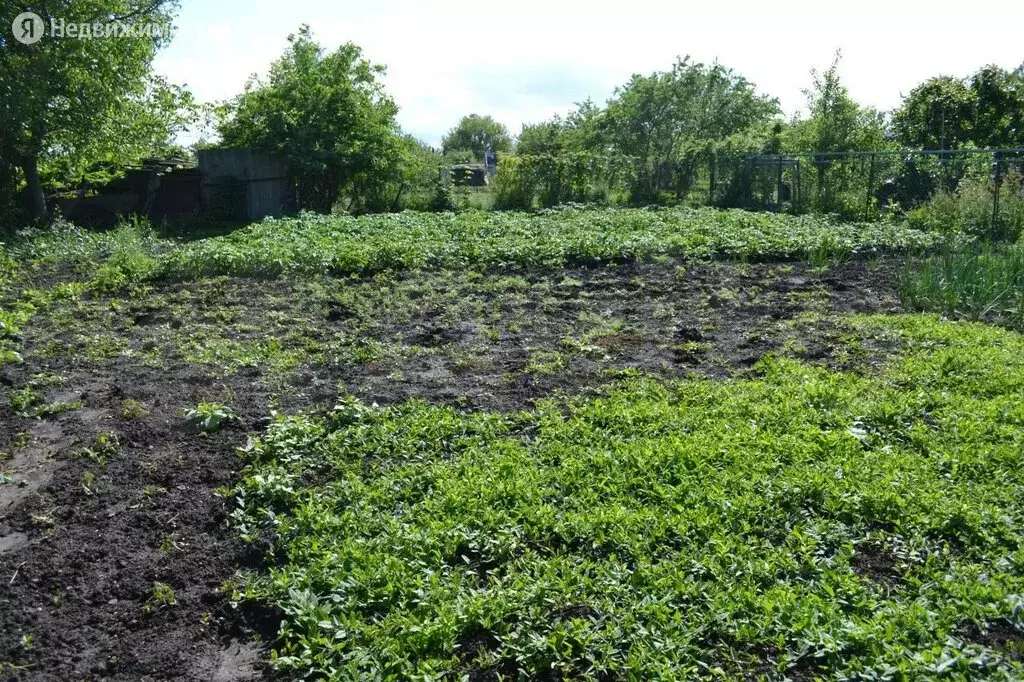 Купить Дом Село Спицевка Ставропольский Край