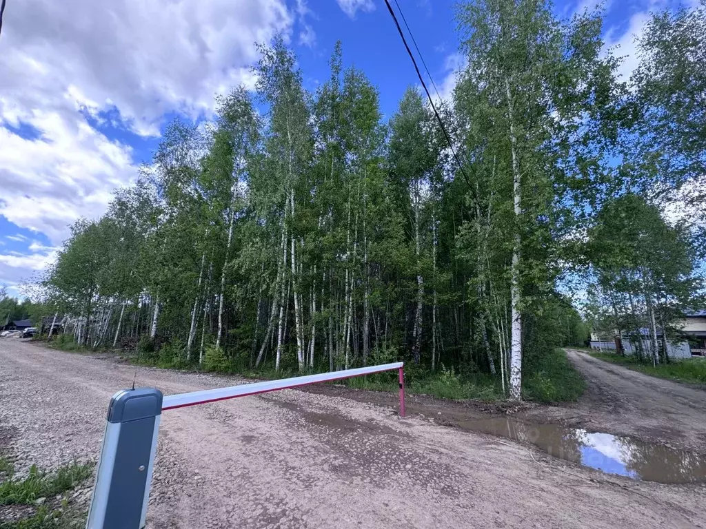 Участок в Татарстан, Казань ул. Тирякле (11.0 сот.) - Фото 1