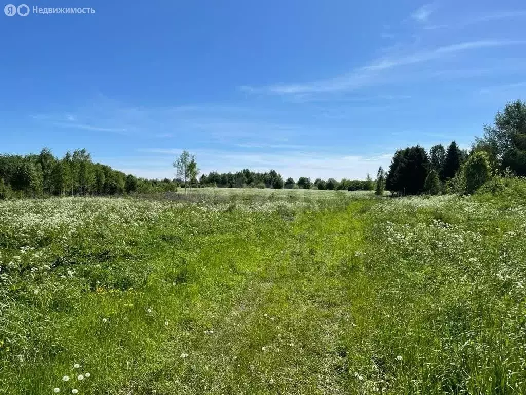 Участок в Череповецкий район, муниципальное образование Воскресенское, ... - Фото 1