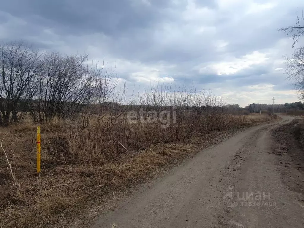 Участок в Курганская область, Щучанский муниципальный округ, д. ... - Фото 0