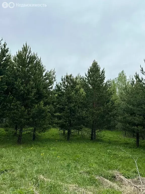 Участок в посёлок Гагарский, загородный комплекс Лайф, 2-я Парковая ... - Фото 0