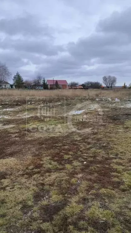 Участок в Воронежская область, Новоусманский район, Усманское 1-е ... - Фото 1