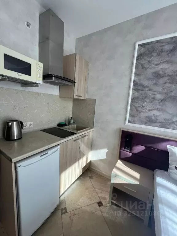 Студия Краснодарский край, Сочи Светлана мкр, ул. Депутатская, 9/3 ... - Фото 2