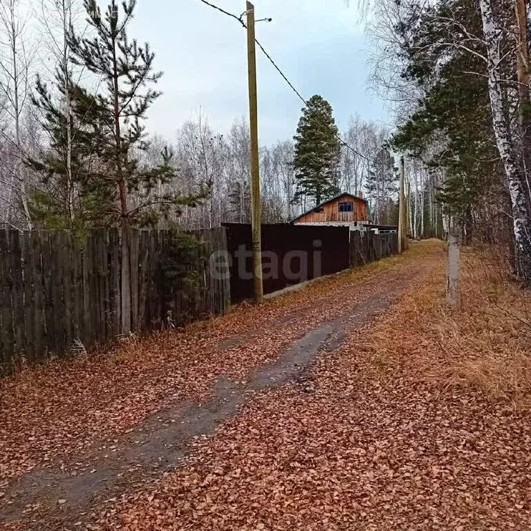 Участок в Курган, СНТ Надежда (12 м) - Фото 2