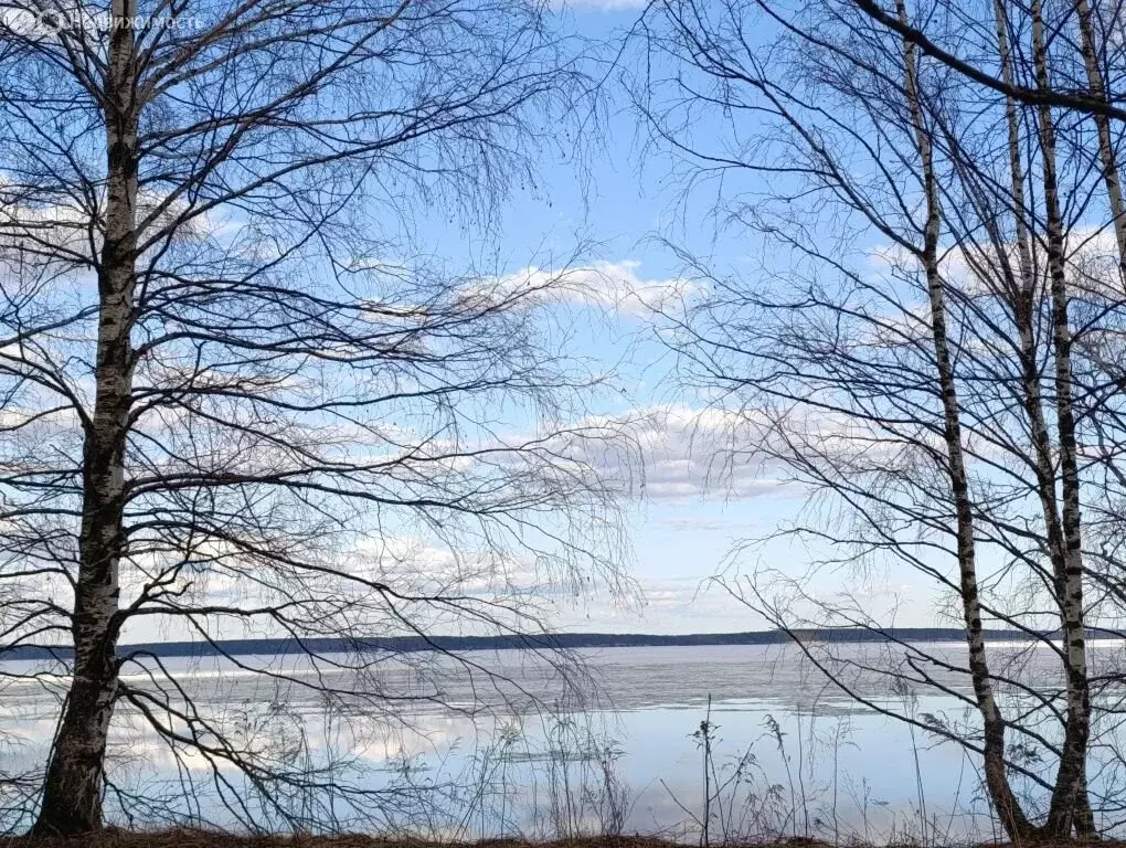 Участок в Нижегородская область, муниципальный округ Чкаловск, деревня ... - Фото 2