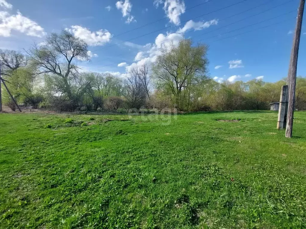 Участок в Мордовия, Дубенский район, с. Поводимово Школьная ул. (23.07 ... - Фото 1