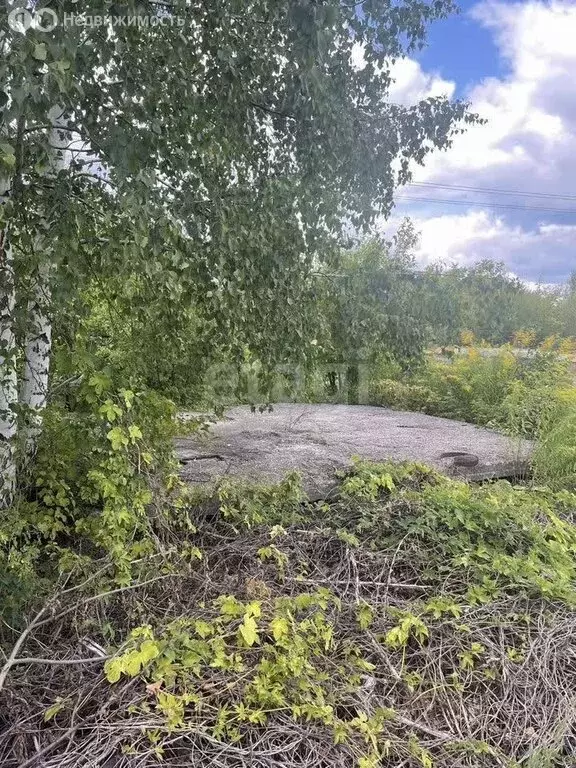 Участок в Бобровский район, Слободское сельское поселение, хутор Заря ... - Фото 1