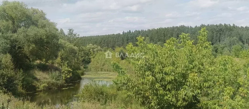 Участок в Нижегородская область, Шатки рп ул. Забайкальская, 65 (22.0 ... - Фото 2