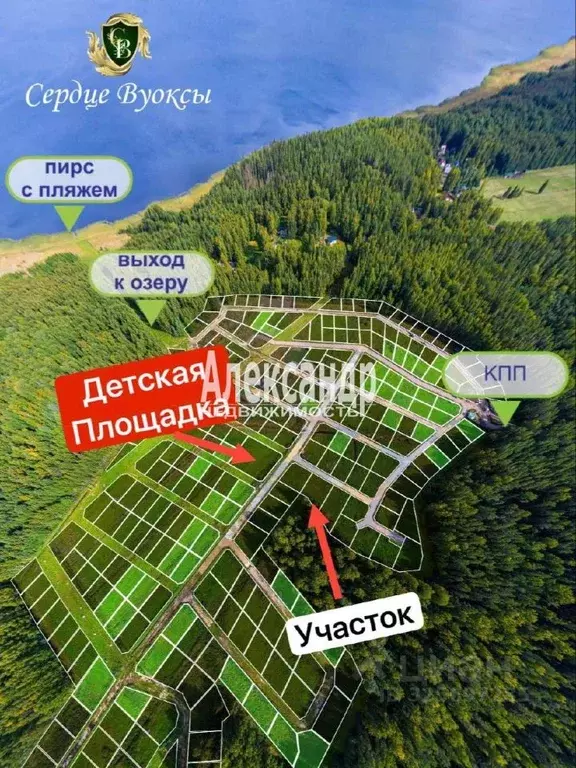 Участок в Ленинградская область, Приозерский район, Красноозерное ... - Фото 1