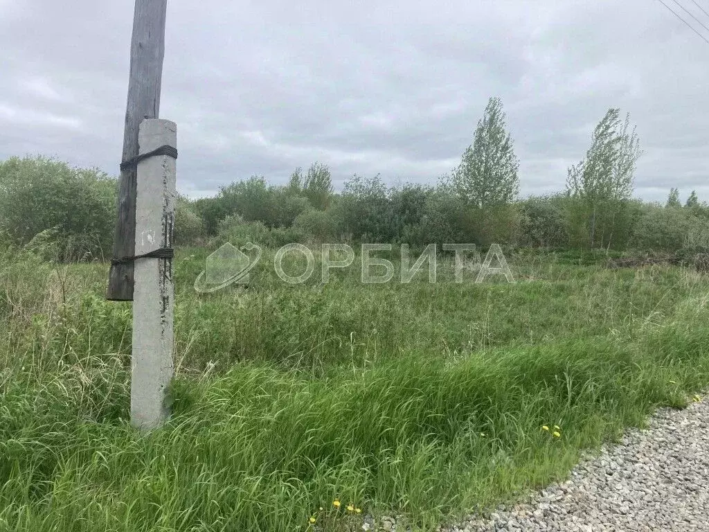 Участок в Тюменская область, Тюмень Садовое товарищество Липовый ... - Фото 1