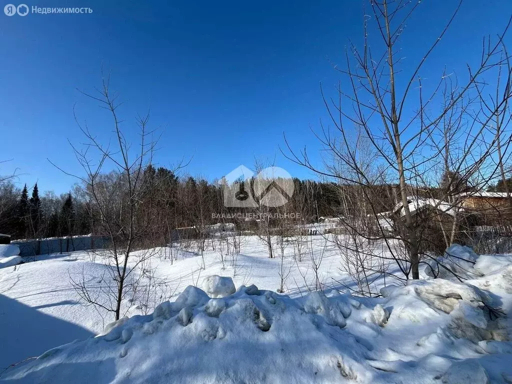 Участок в Новосибирск, СНТ Любитель (20 м) - Фото 2