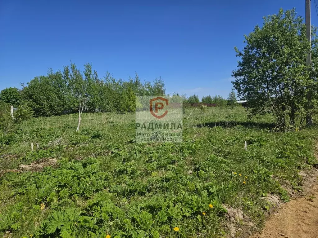Участок в Московская область, Солнечногорск городской округ, д. ... - Фото 1