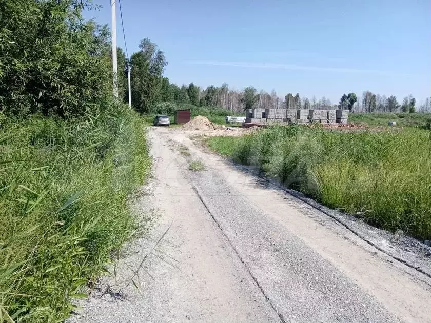 Участок 6 сот. (СНТ, ДНП) - Фото 1